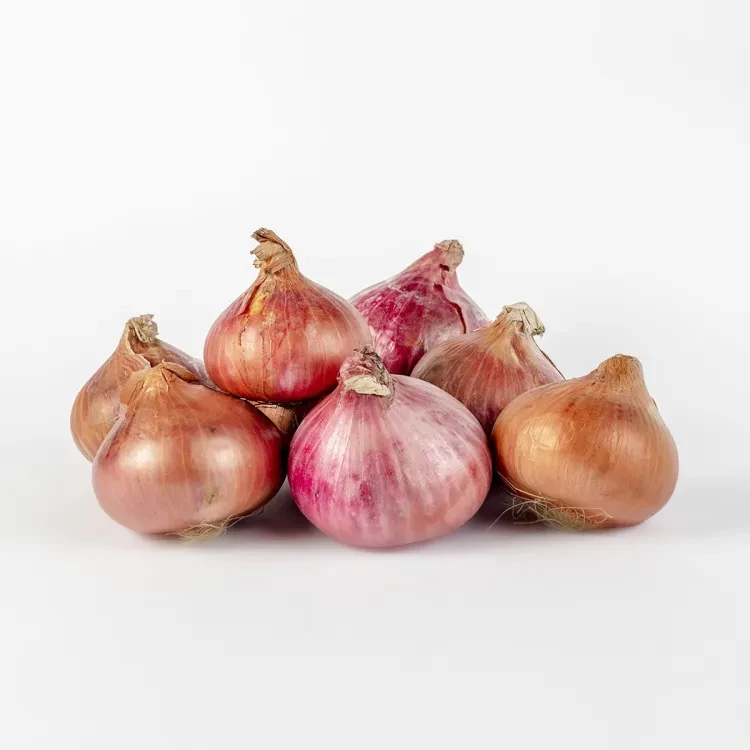 Imported Onion 1 kg
