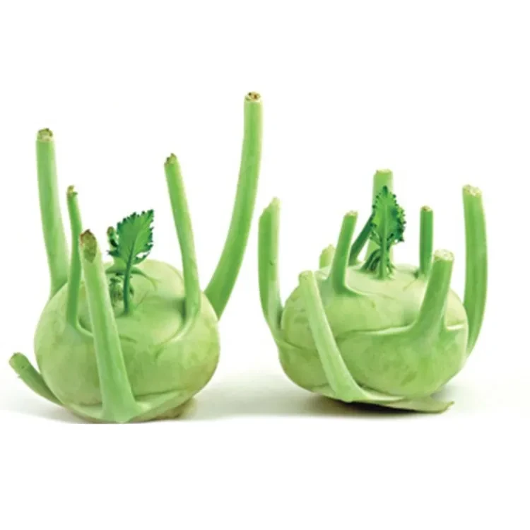 Turnip (Shalgom) 500g ± 25 gm
