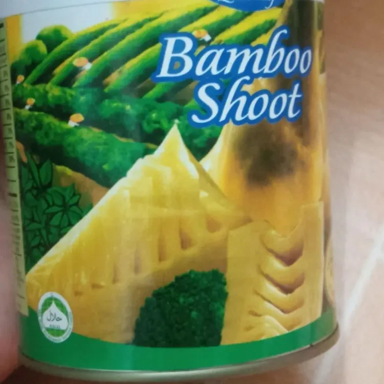 Bamboo Shoot 552G