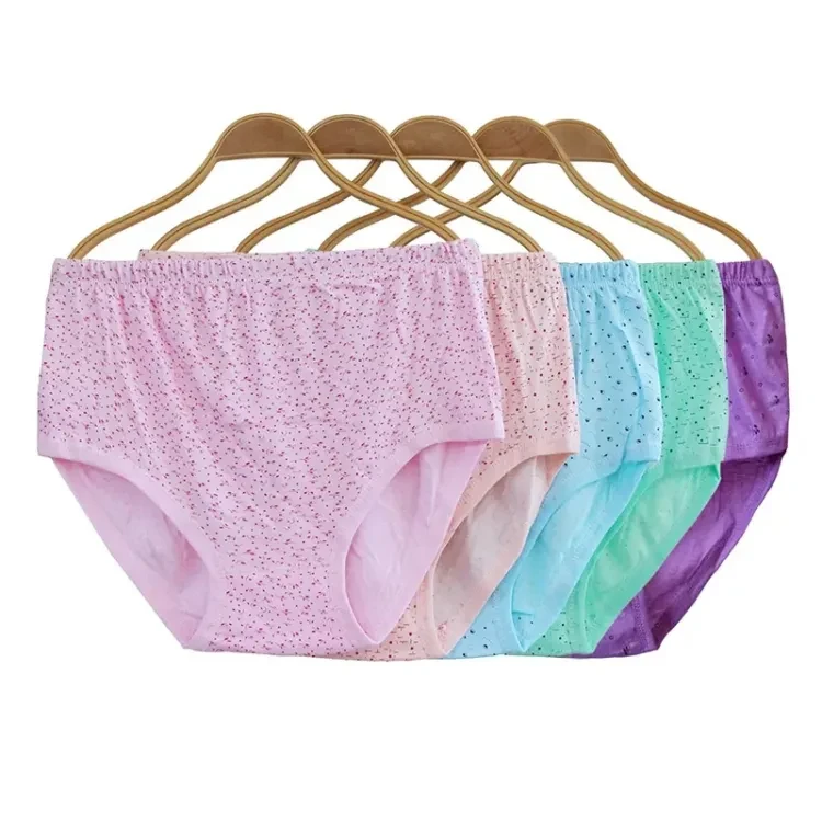 3 Pieces Premium Quality New Design Women Undergarments Printed Seamless Panty Soft and Comfortable Panty