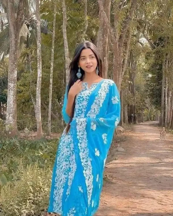 Kashmiri Ari Work 4 piece Party Dress - 3 Pice Dress - 3 Pice Dress